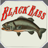 Campeonato Nacinal de Pesca en Orilla del Black Bass