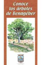 Guía de los árboles de Benagéber